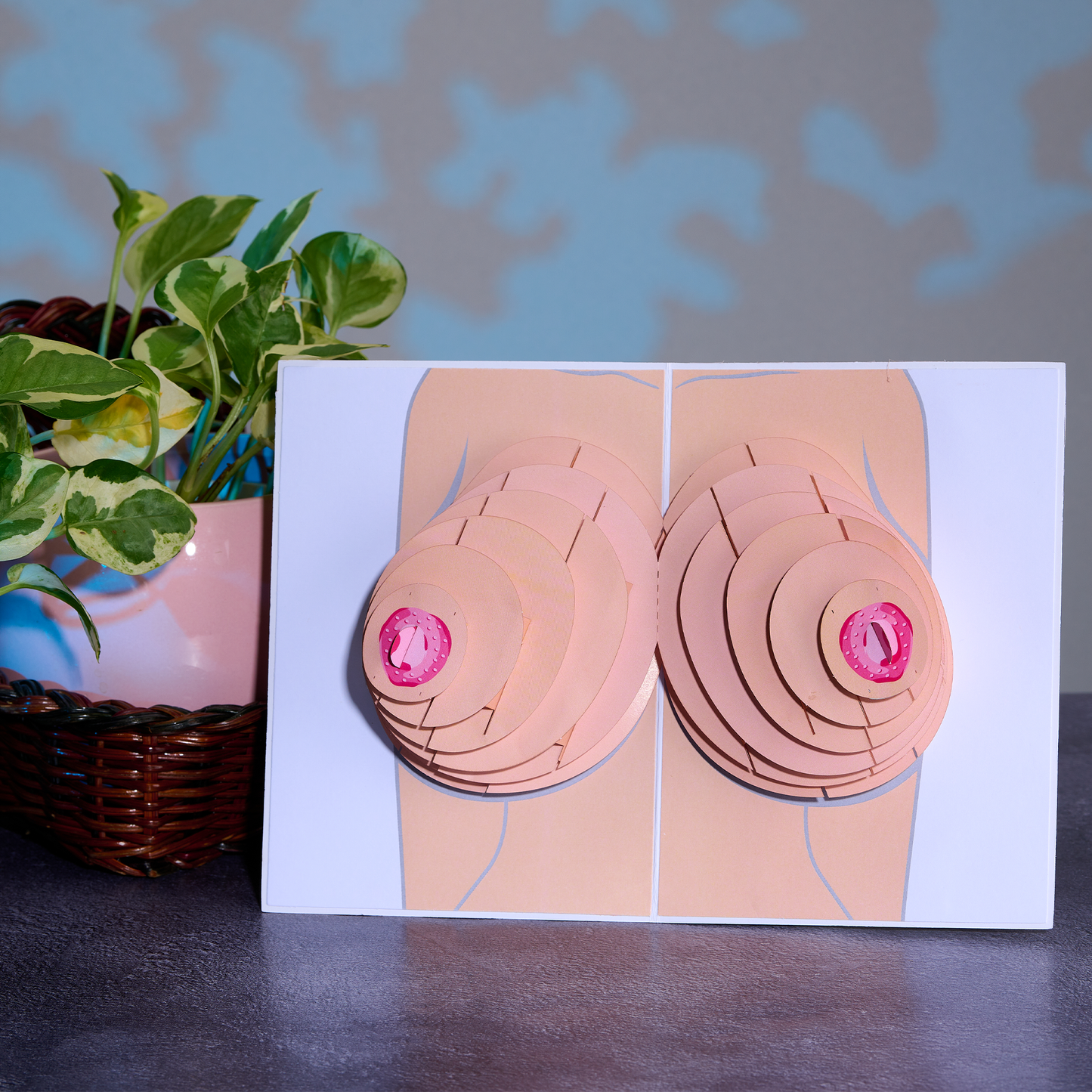 Dirty Pop Cards - Naughty Knockers Funny 3D Pop-Up Boobs Greeting Card