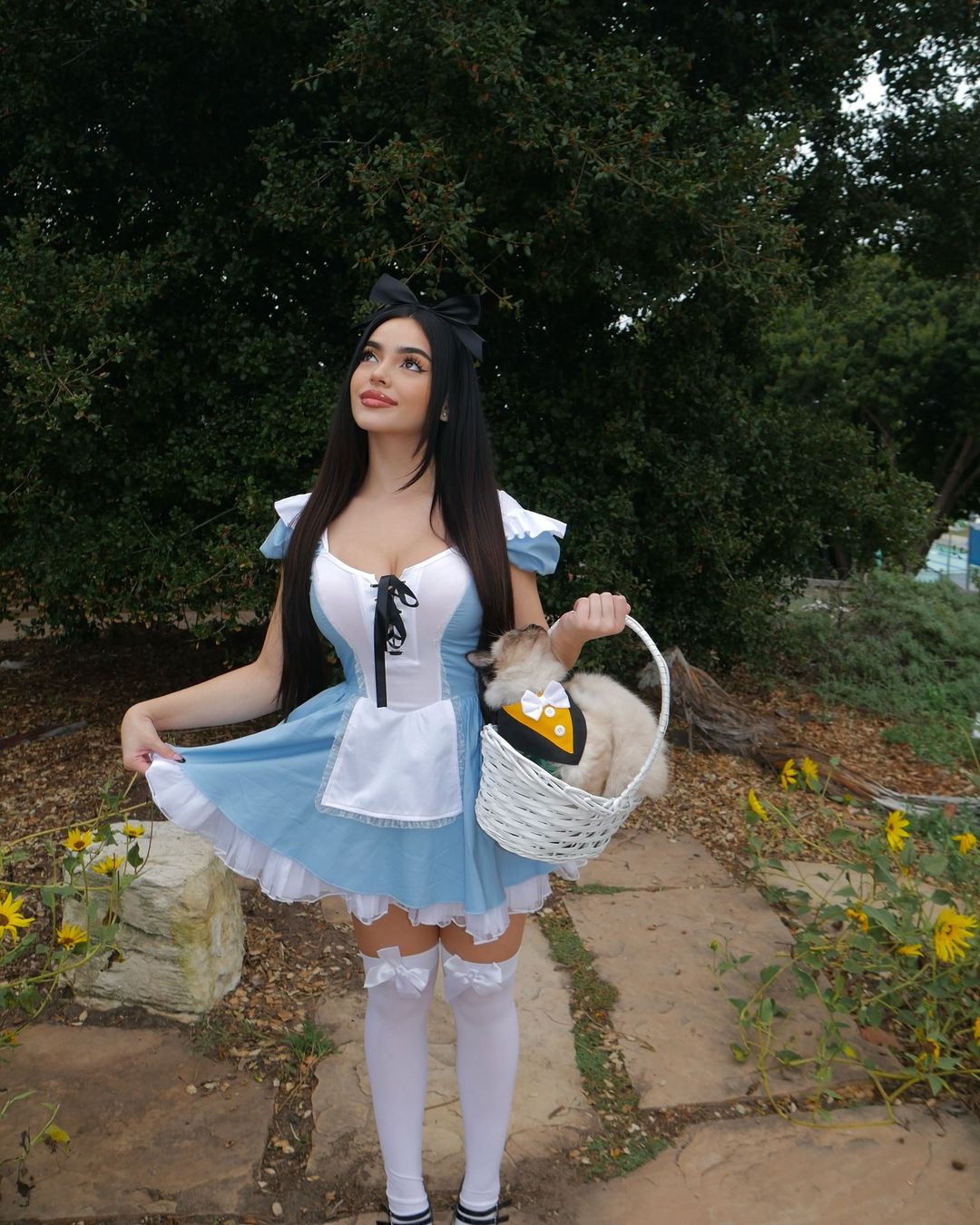 Liitle Miss Alice