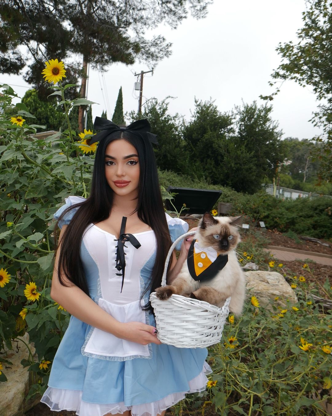 Liitle Miss Alice