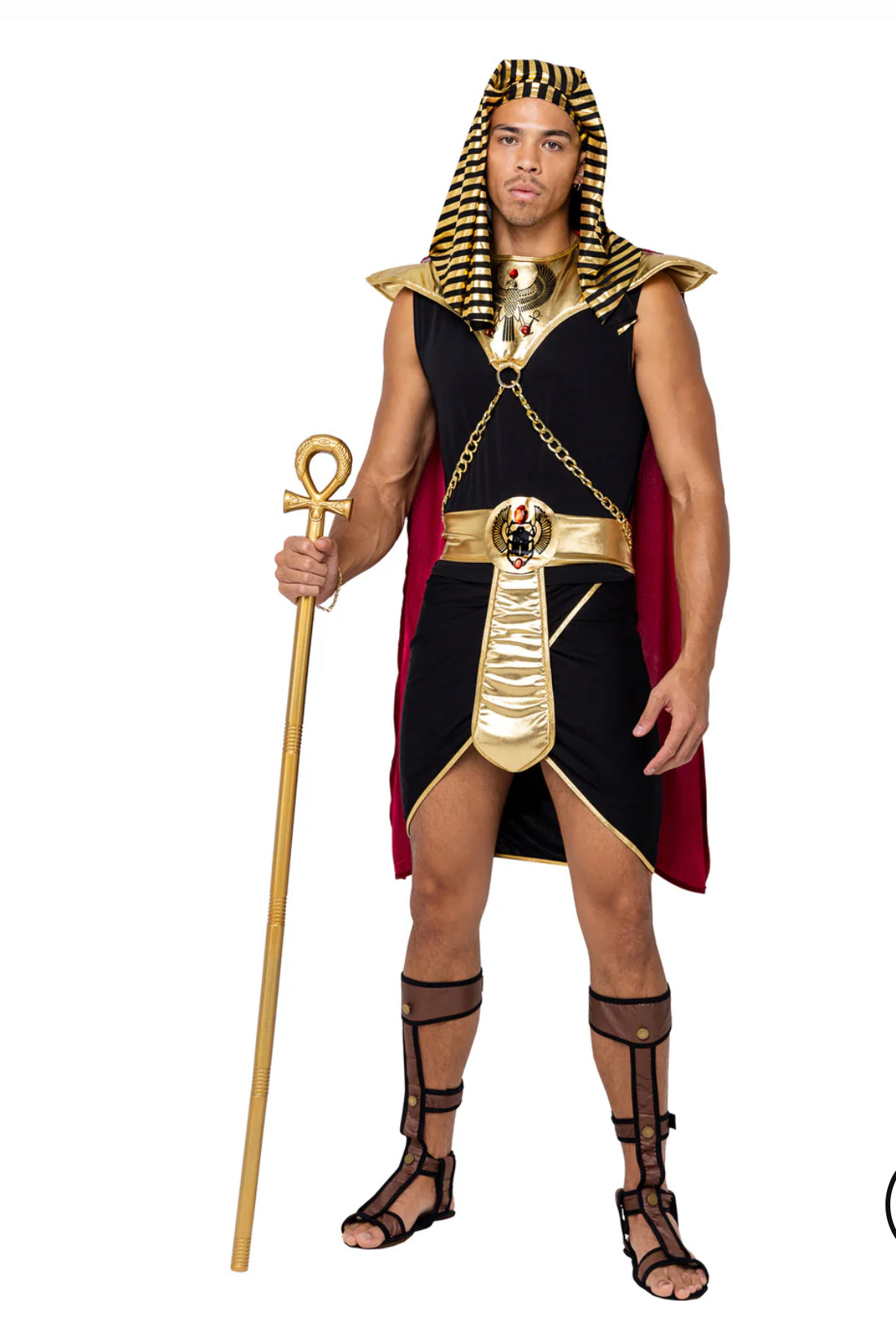 Egyptian King costume 6204