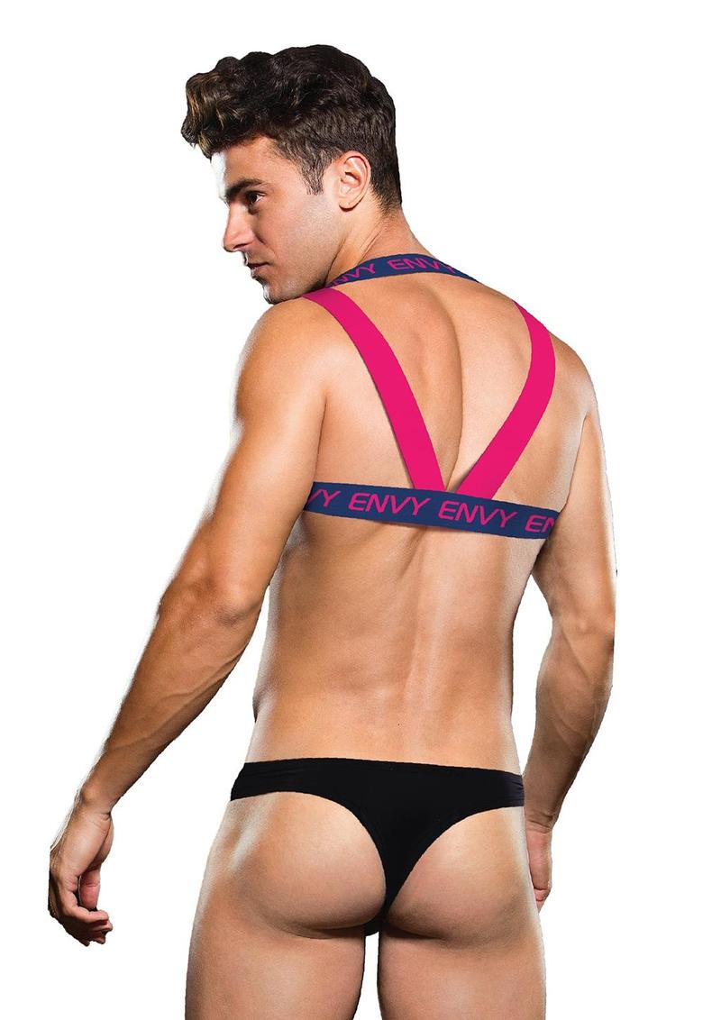 Envy Logo Harness - Blue/Pink - Medium/Small