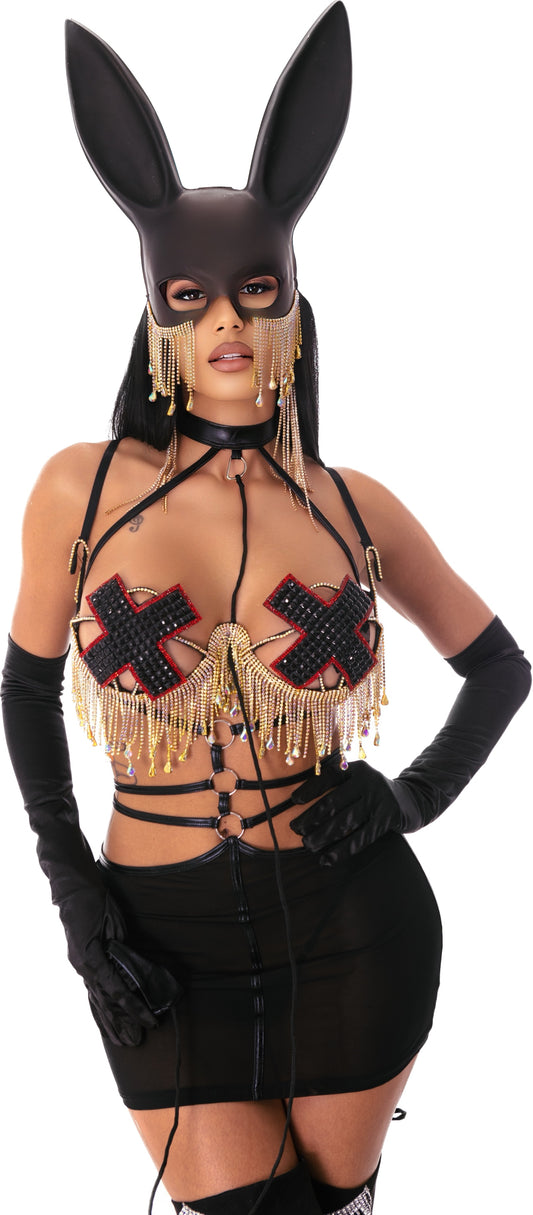 Bling Bunny Costume Styled for you
