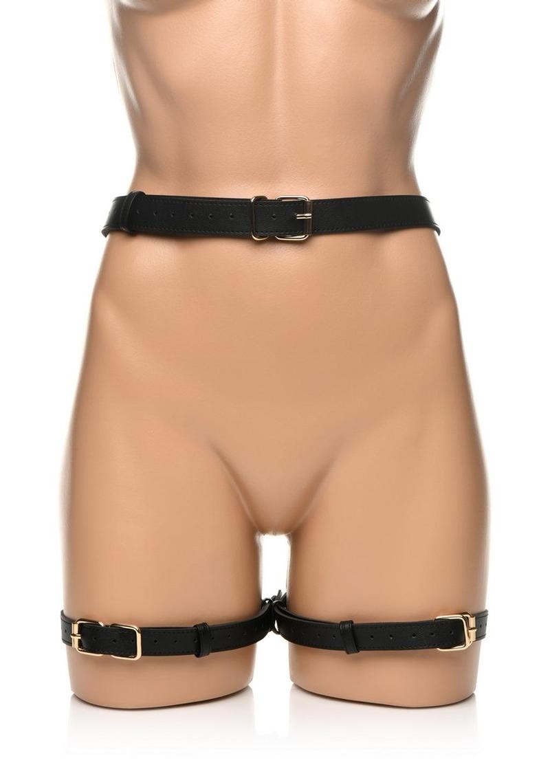 Strict Bondage Harness with Bows