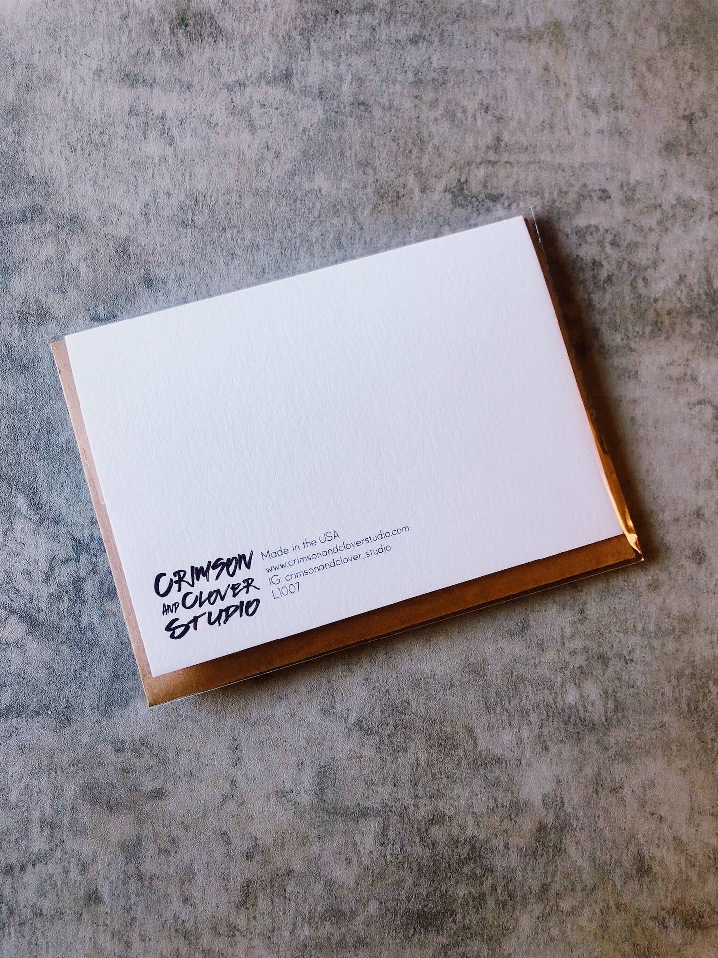 Crimson and Clover Studio - Back Door Rear Entry Santa Funny Christmas Card