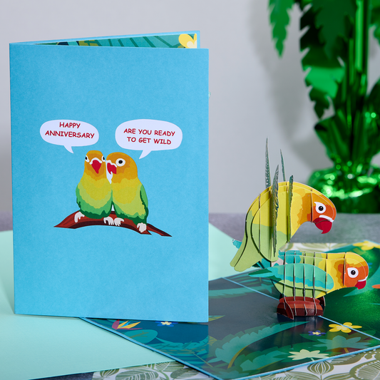 Dirty Pop Cards - Love Birds Funny 3D Pop-Up Naughty Anniversary Card