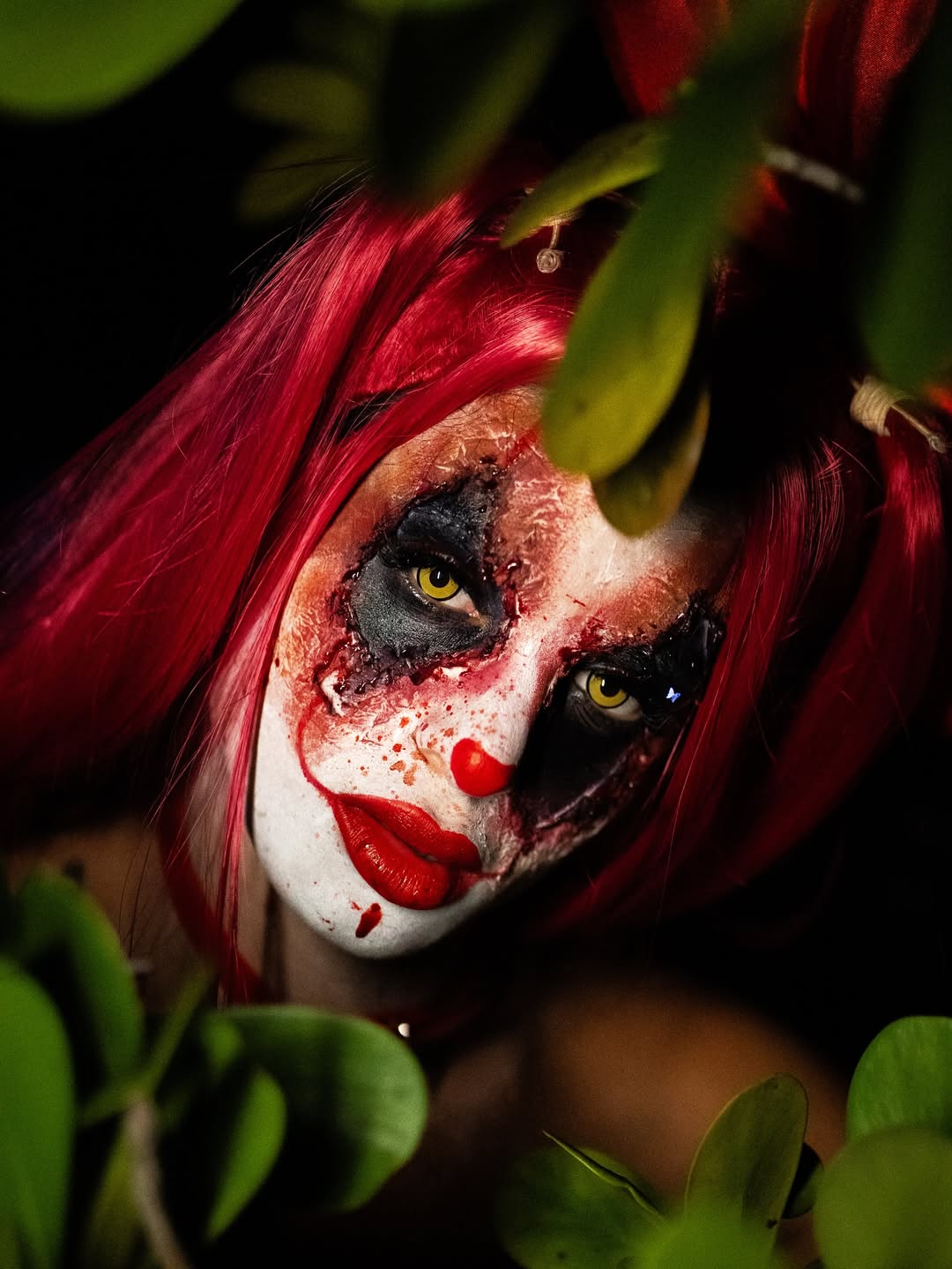 Playthings Bloody Clown