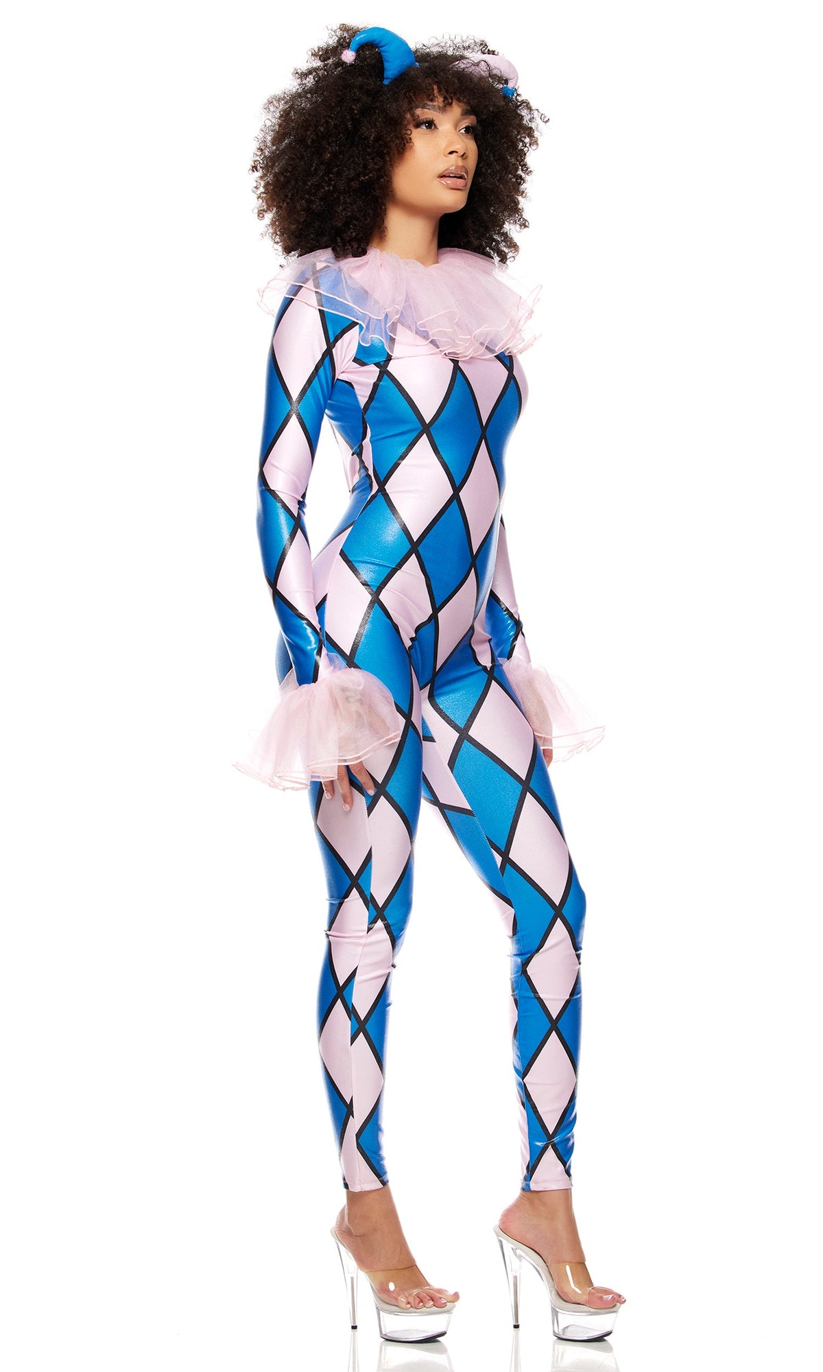 Take a Jest Clown Costume