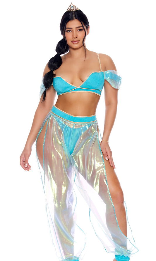 A Whole New World Sexy Princess Costume