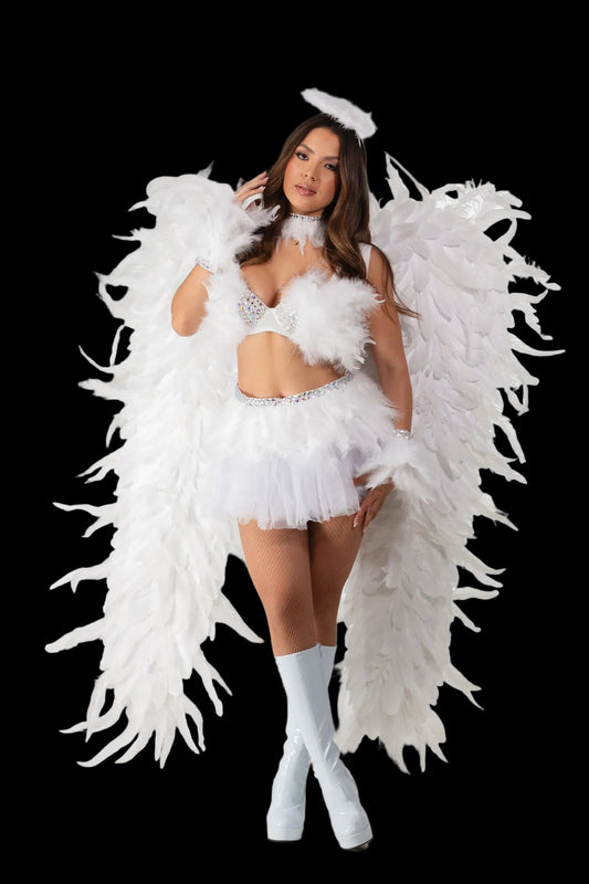 Heavenly Angel  with large wings