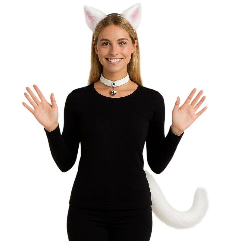 KBW Global Corp. - White Cat Kit