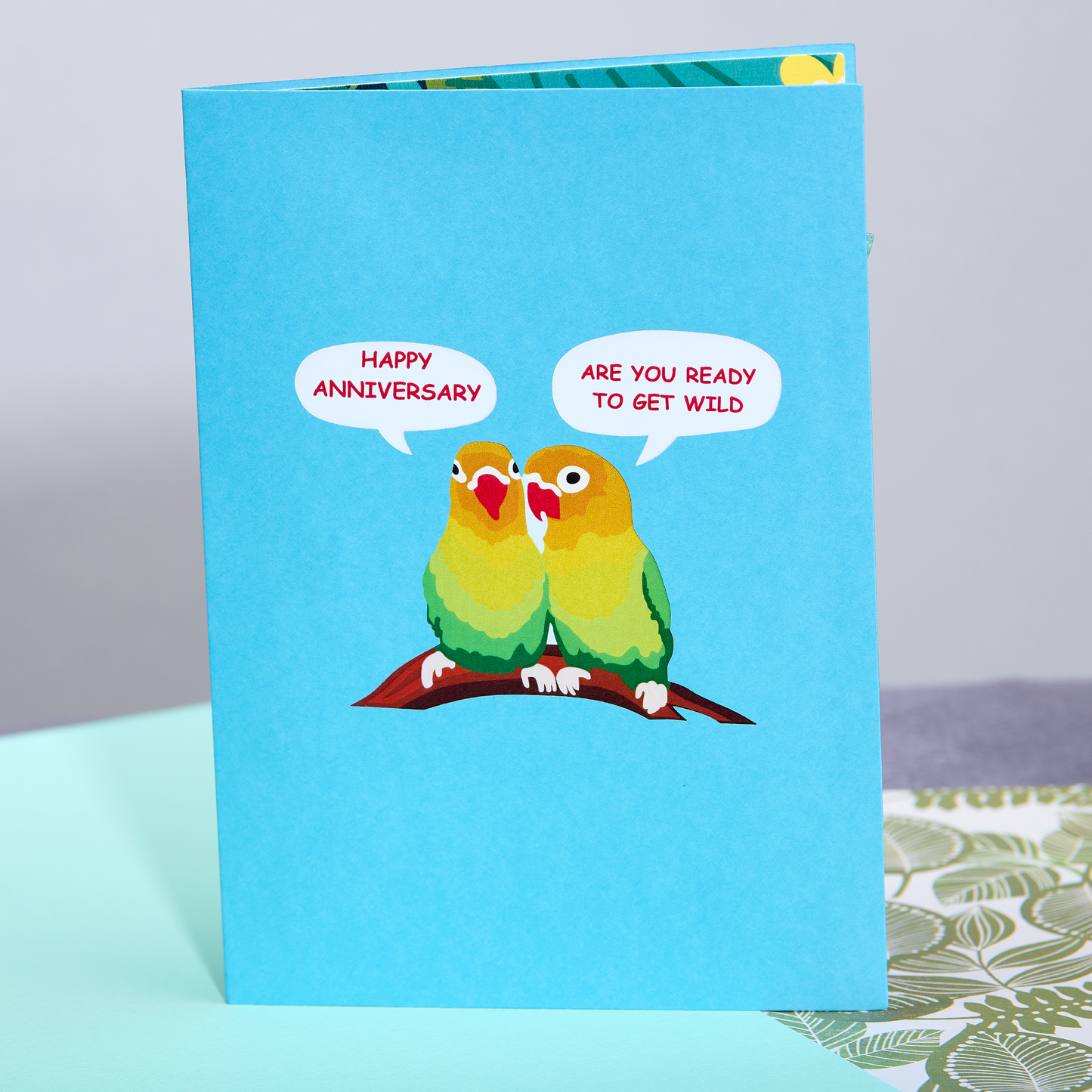Dirty Pop Cards - Love Birds Funny 3D Pop-Up Naughty Anniversary Card