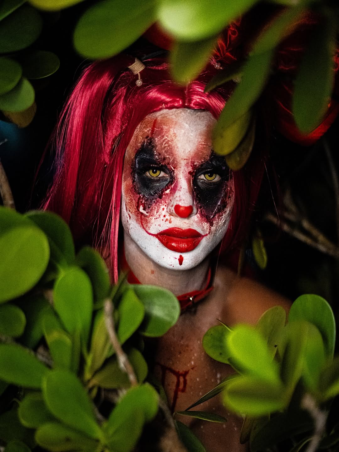 Playthings Bloody Clown