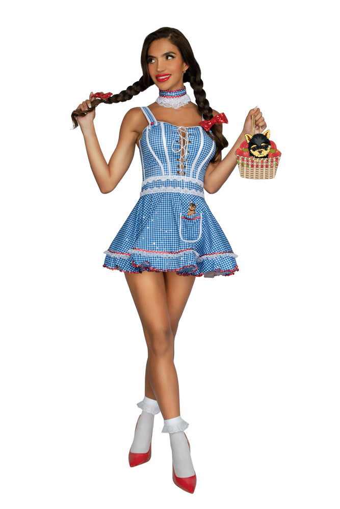 Kansas Sweetheart Costume