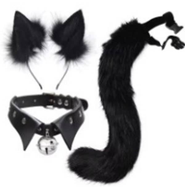 KBW Global Corp. - Black Cat Kit