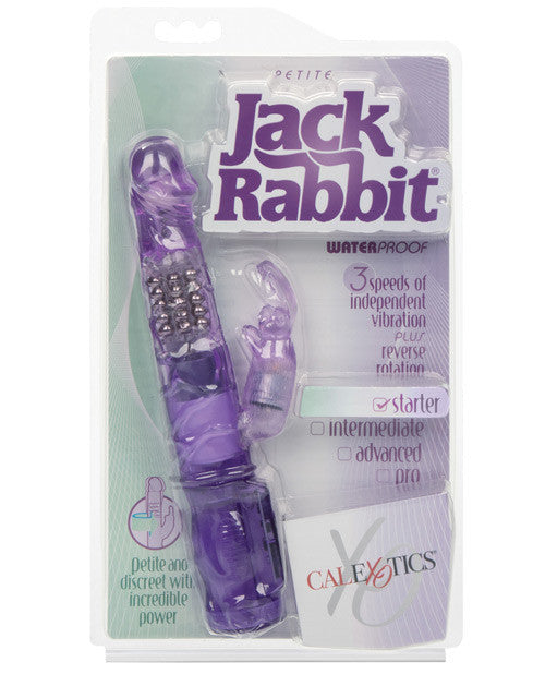 Jack Rabbit Petite - PlaythingsMiami