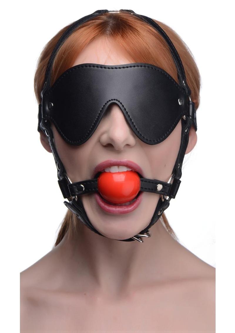 Blindfold Harness with Ball Gag