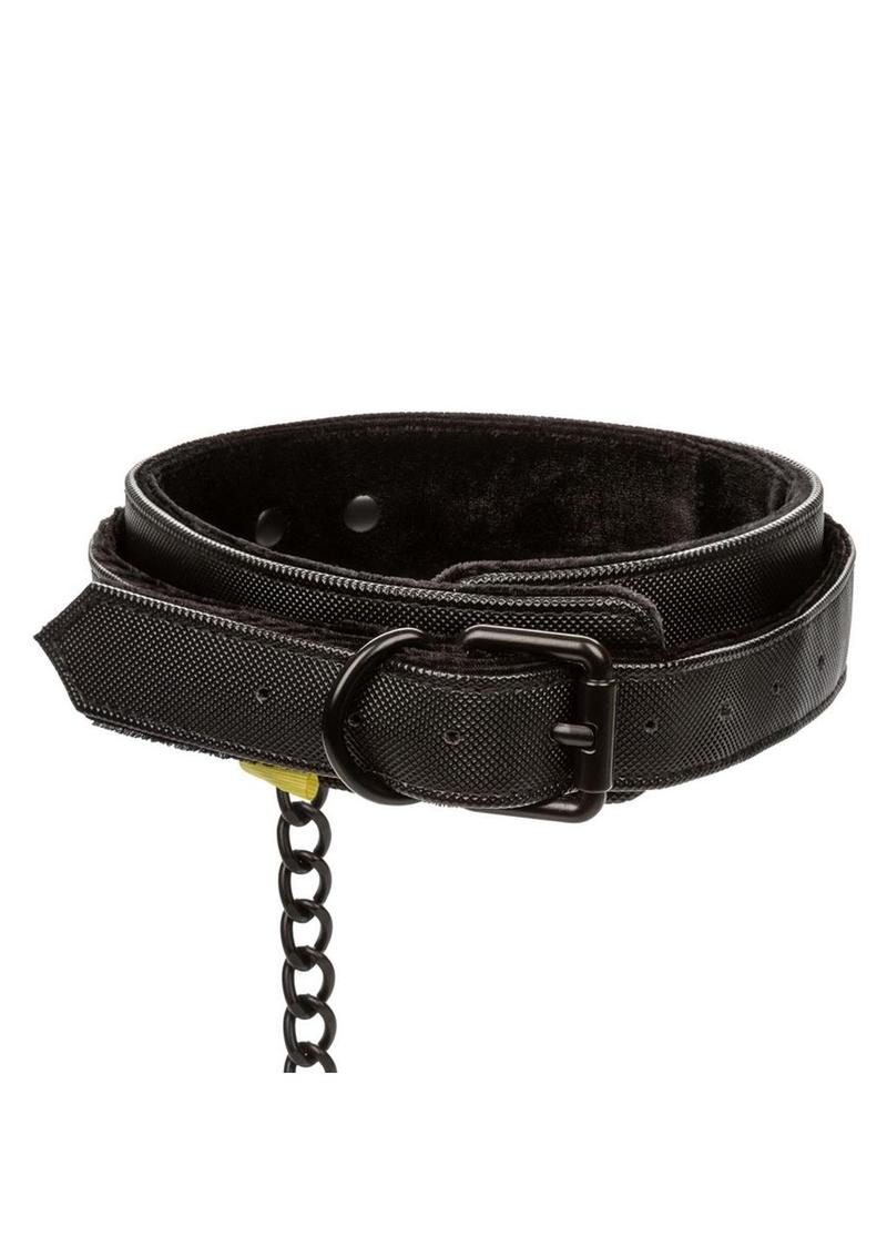 Boundless Collar and Leash