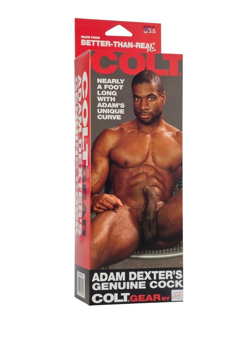 Colt Adam Dexters Genuine Cock Dildo - Chocolate