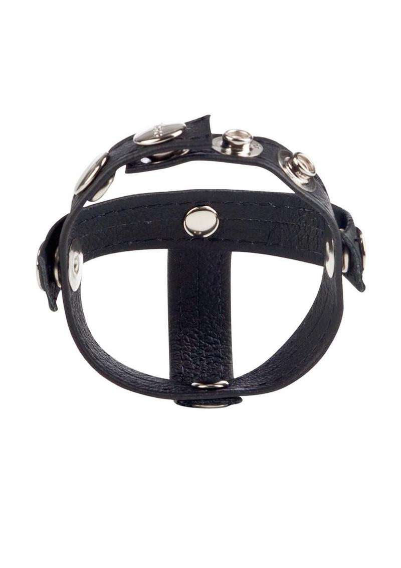 Colt Leather C/B Strap H-Piece Divider Cock Ring