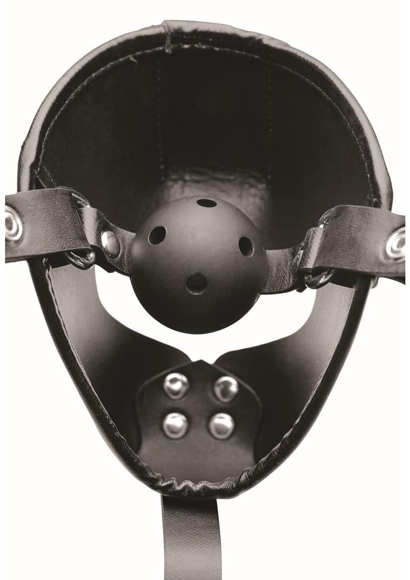 Master Series Pup Puppy Play Hood + Breathable Ball Gag