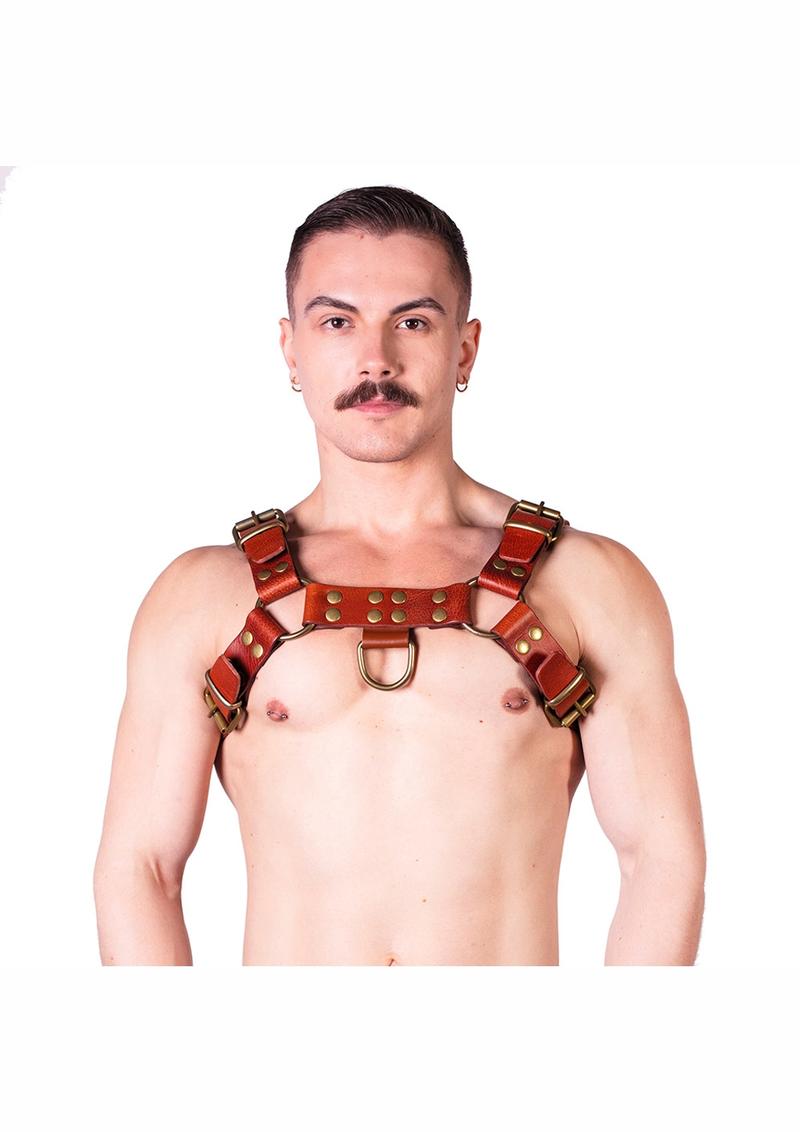 Prowler Red Butch Harness - Small - Brown/Brass - Brown - Small
