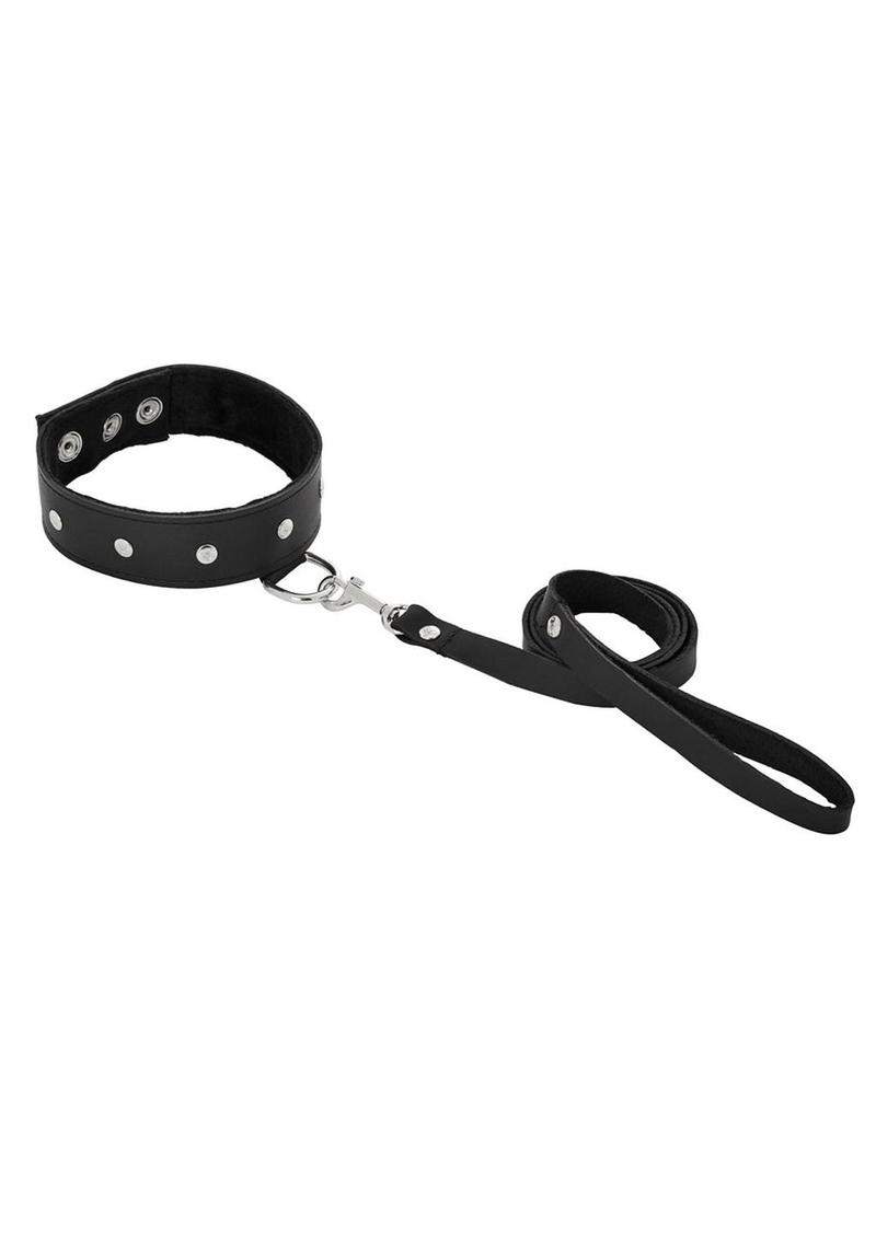 Sportsheets Leather Leash and Collar